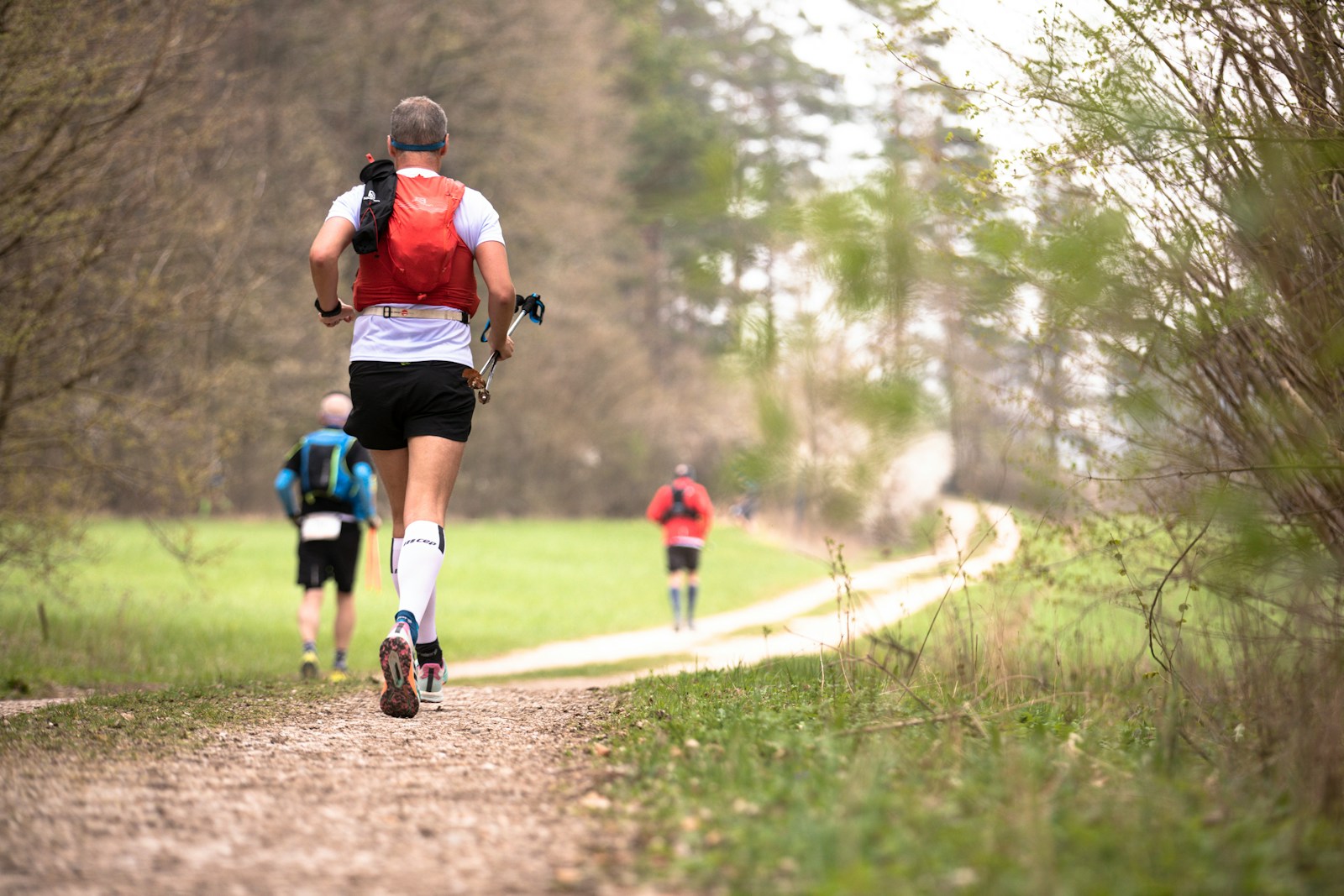 Groupe de sportifs courant sur un sentier en forêt